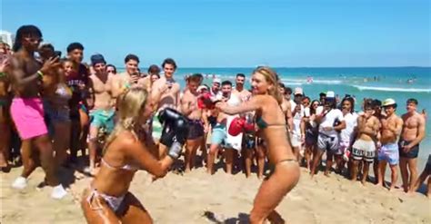 Spring Break Gone Wild Bikini Clad Spring Breakers Participate In Illegal Boxing Match With