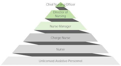 Nursing Chain Of Command Free Cheat Sheet Lecturio