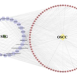 Construction Of The Compound Target Disease Network The Blue Hexagon