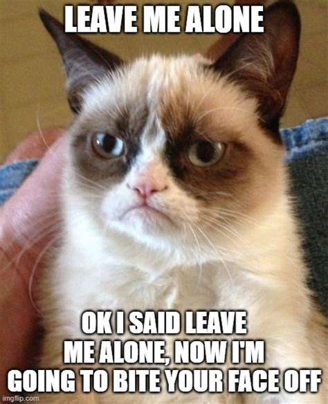 Grumpy Cat Memes - Imgflip