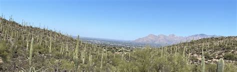 Recoil Peak Via Mosaic Trail Mapa Roteiro Arizona Alltrails