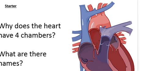 B4 4 Helping The Heart Aqa Teaching Resources