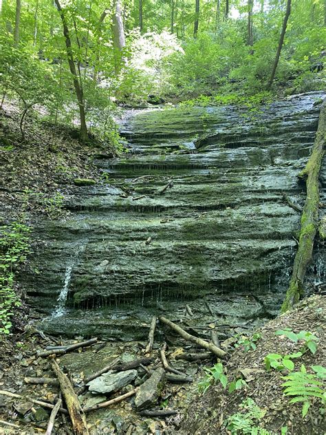 West Meade Waterfall | The Nashville Mom