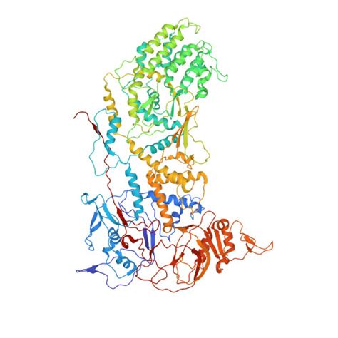 Rcsb Pdb Ztz Assembly Intermediates Of Orthoreovirus Captured In