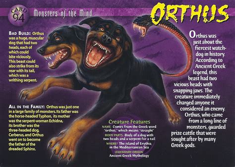 Orthus Wierd Nwild Creatures Wiki Fandom Powered By Wikia