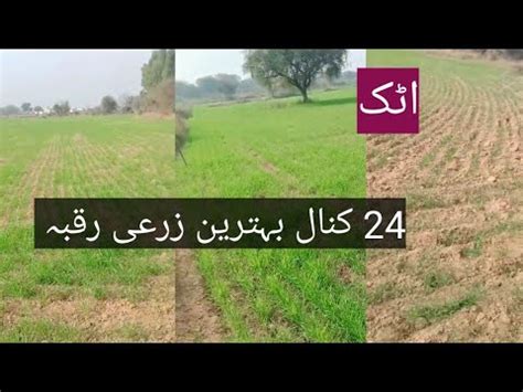 Attock Kanal Land For Sale Agriculturel Land For Sale In Punjab