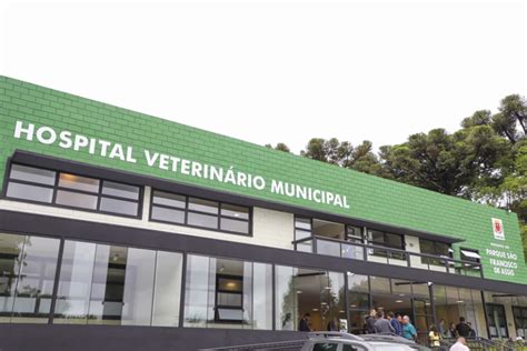 Hospital Veterinário Municipal de Curitiba faz 432 atendimentos