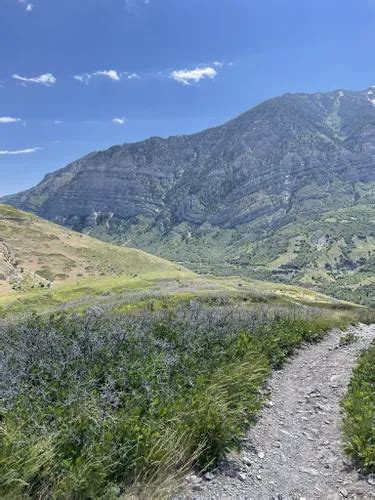 Best Hikes and Trails in Provo Canyon | AllTrails