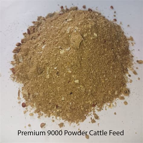 Cool And Dry Place Premium Powder Cattle Feed Natural Tech At Rs