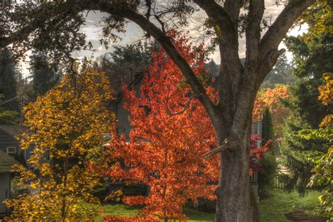 Thom Zehrfeld Photography Silverton Oregon Photography In Hdr