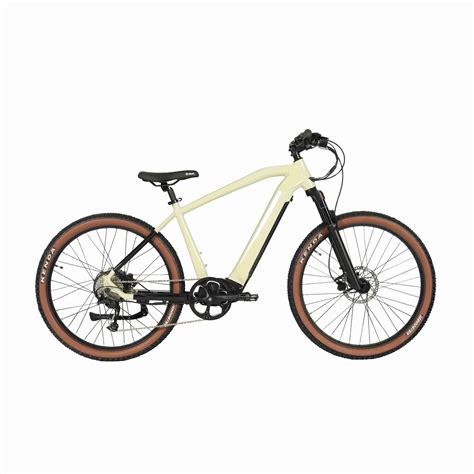 Mountain Electric Bike - Best Electric Bicycle Manufacturer