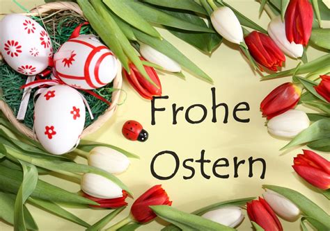 Froheostern Frohe Ostern Frohe Ostern Sprüche Ostern