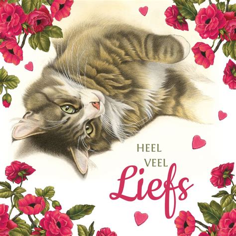 Liefdeskaart Met Liggende Kat Bloemen En Kaartje2go