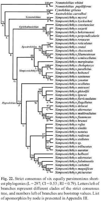 SciELO Brasil Descriptive Morphology And Phylogenetic Relationships