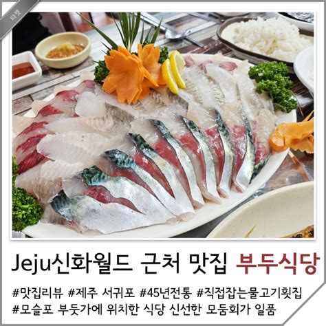 제주 신화월드 근처 맛집 서귀포 횟집 부두식당 네이버 블로그