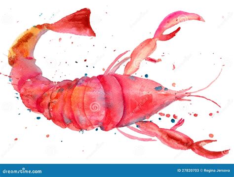 Illustration Daquarelle De Langoustine Illustration Stock