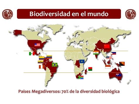 Tema I Caracterización De La Biodiversidad Wiki Cch