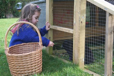Comment fabriquer la cage d'un lapin ? | Pratique.fr