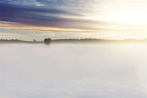 Free Images Sea Coast Tree Treeline Ocean Horizon Snow Cloud