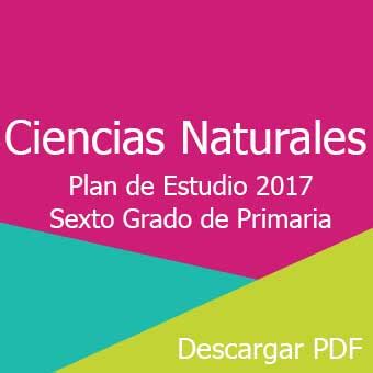 Plan Ciencias Naturales Sexto Grado Pdf