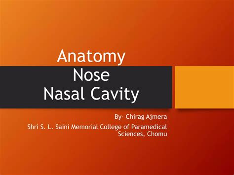 Nose And Nasal Cavity Anatomy Ppt