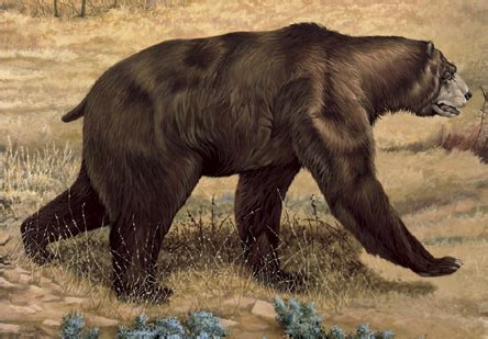 Short-Faced Bear | Extinct Animals