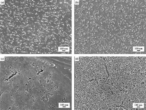 Sem Photos Of The Surface Of Porous Titanium Oxide Films On Silicon