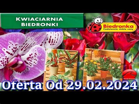 𝐁𝐈𝐄𝐃𝐑𝐎𝐍𝐊𝐀 Kwiaciarnia Biedronki Nowa Oferta Od 29 02 2024 Kwiatowe