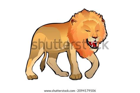 Lion Roaring Walking Isolated On White Stock Vector (Royalty Free ...