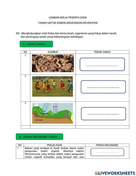 Tanah Online Exercise Live Worksheets