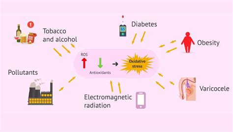 Oxidative Stress Know These Strategies To Prevent It