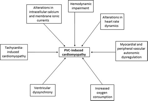 Premature Ventricular Contraction Induced Cardiomyopathy Circulation