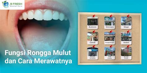 Fungsi Rongga Mulut dan Cara Merawatnya -Bfresh Dental Care