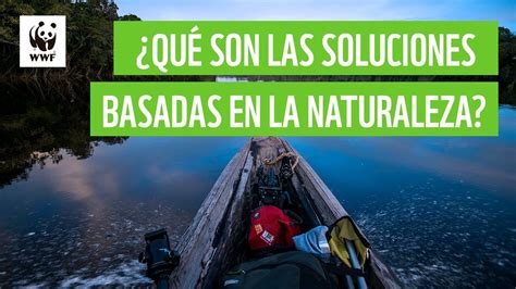 Qu Son Las Soluciones Basadas En La Naturaleza Wwf Colombia Youtube