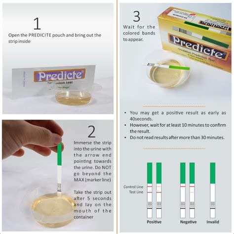 Predicte Ovulation Test Kit Ovulation Predictor Kit Carrot Top Drugs