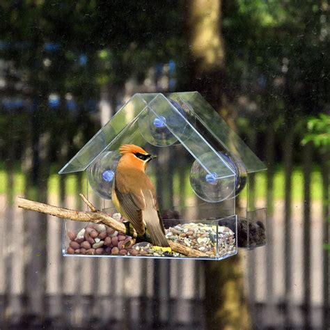 Window Mount Bird feeder - GenieUs Shop