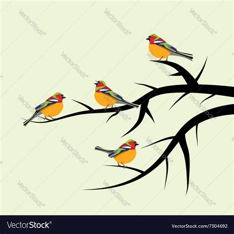 Birds On Tree Branches Royalty Free Vector Image