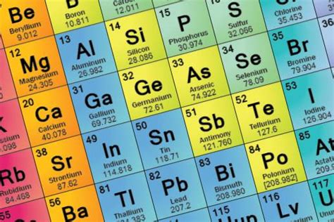 trace elements  plant nutrition allotment gardens