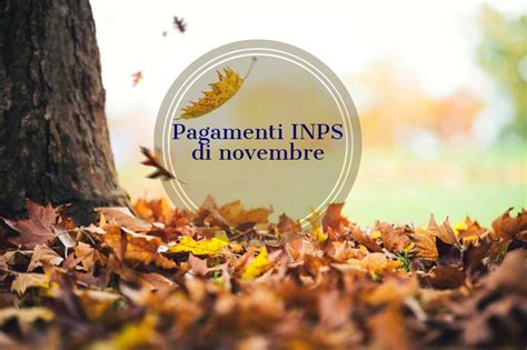 Cedolino pensione di novembre calendario pagamenti importi e novità