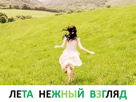 Что такое луг - презентация онлайн