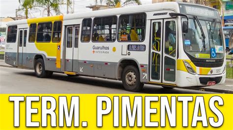 Terminal Pimentas Guarulhos SP Movimentação de Ônibus 462 YouTube