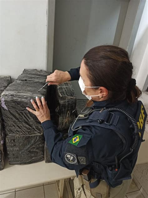 PRF apreende mais de meio milhão de reais em maconha na BR 280 em