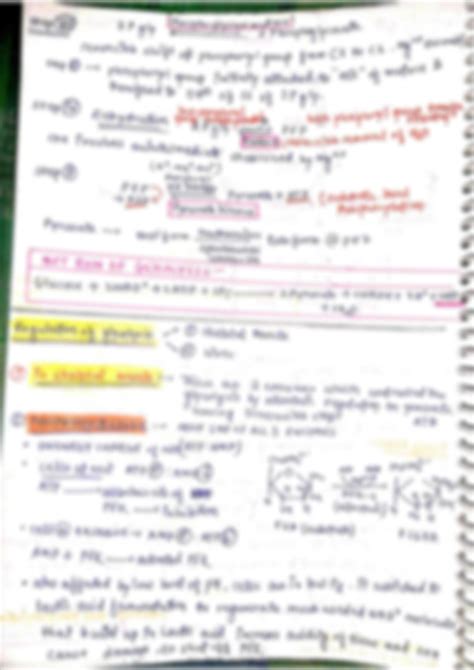 Solution Carbohydrate Metabolism Shortnotes Studypool