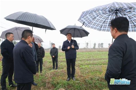 朱平波现场调研高标准农田、水利建设及秋冬生产工作 汨罗市政府网