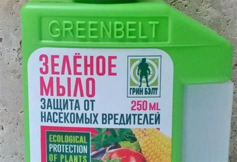 Зеленое мыло от вредителей: особенности применения в саду, на огороде и ...