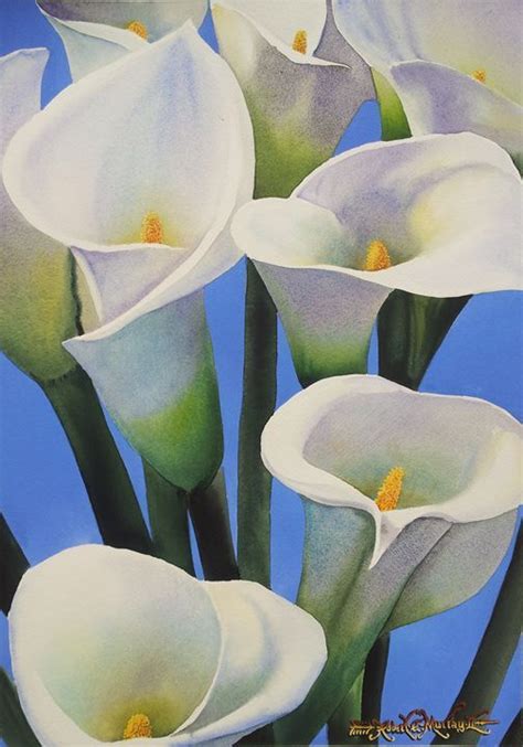 Calas Lillies X Cm Watercolo Robert C Murray Ii Paintings