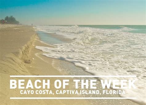 Cayo Costa Island Florida | Cayo costa, Captiva island, Beach