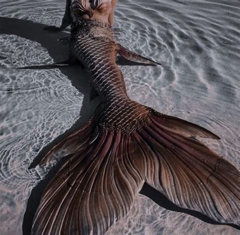 Pin By Clarinha Proveti On História Mermaid Aesthetic Fantasy Aesthetic Mermaid Photography