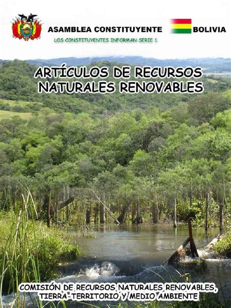 PDF Recursos Naturales Renovables Asamblea Constituyente Pdf