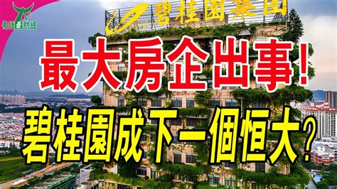 危險！碧桂園被申請清盤！中國最大房企碧桂園也要出事了？碧桂園會成為下一個恆大？ 粵語 大灣區樓盤 碧桂園 恆大 Youtube